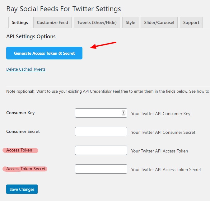 Ray Social Feeds For Twitter API Settings page